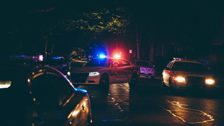 What Are Your Rights During a Police Traffic Stop?